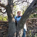 ���� ������, ������� ���, 61 ��� - ��������� 1 ��� 2020 � ������ ������ ��������