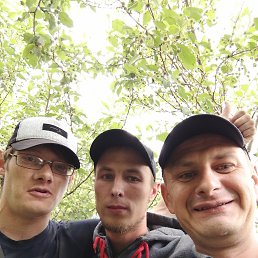 �������, ���������, 43 ����