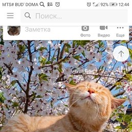 �, ����, 59 ���