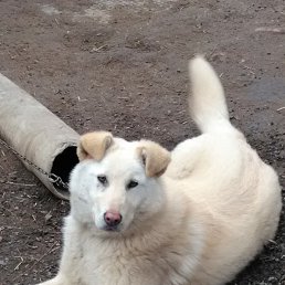 ���� �����, ������, 41 ��� - ��������� 22 ���� 2020