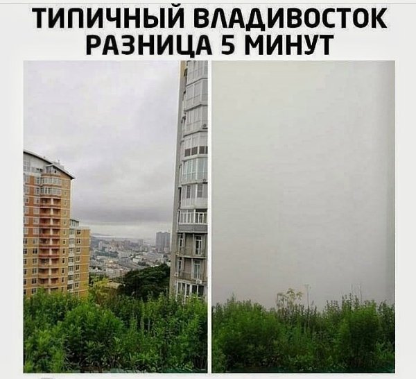 LIFE -  - 9  2020  19:54
