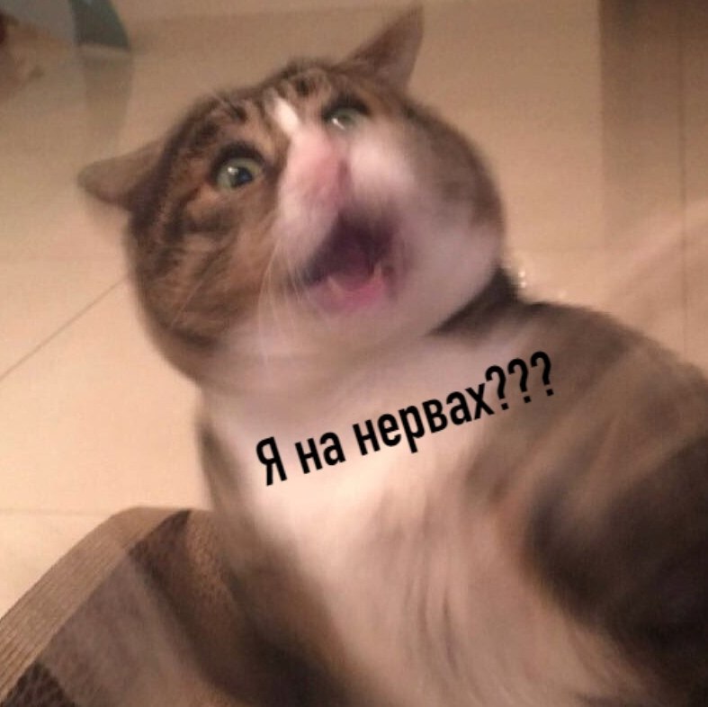     : - 2