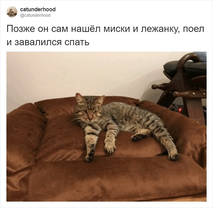  -  .        . - 3