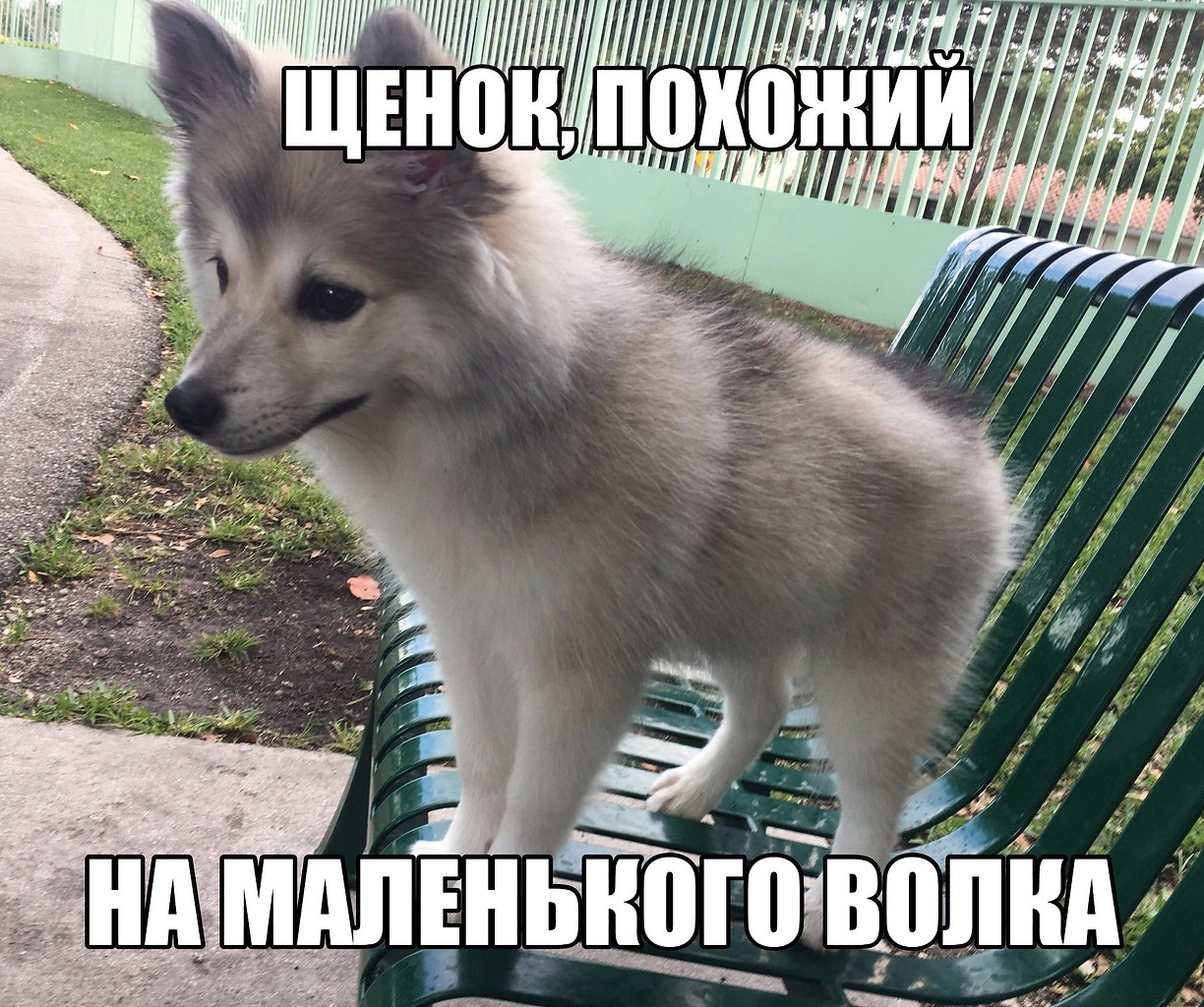   - 14  2020  18:42