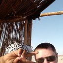 ���� ������, ���������, 45 ��� - ��������� 2 ���� 2020