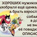 ���� ����, ������� - ��������� 20 ������ 2020 � ������ ���� ����������