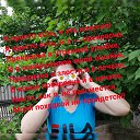 ���� ���������, ���������, 41 ��� - ��������� 29 ���� 2020 � ������ ���� ����������