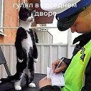 ���� Cristalic, ����������� - ��������� 26 ������ 2020 � ������ ������ ��������
