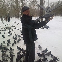 �������, ���������, 48 ���