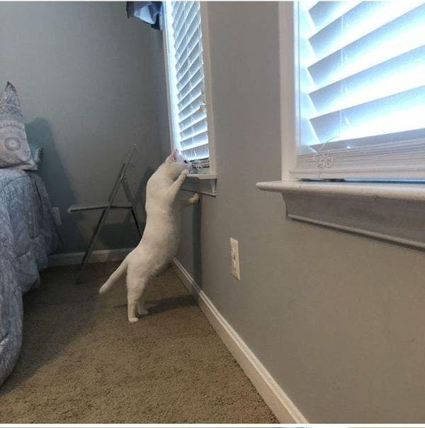          .     ,      ...