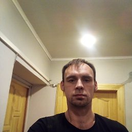 ������, ������, 41 ���