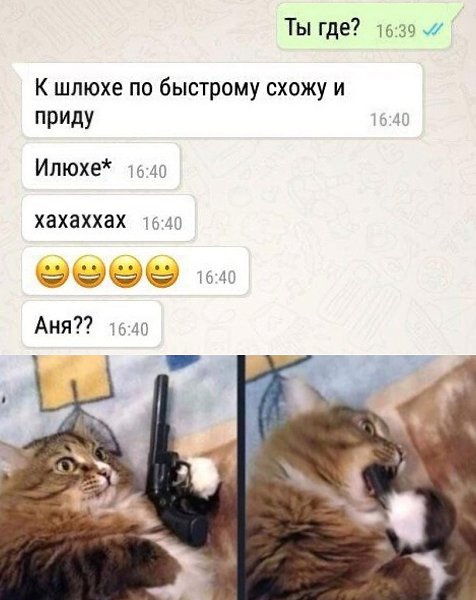  - 15  2020  20:17