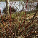 ���� ��������, Kouvola, 78 ��� - ��������� 24 ����� 2020 � ������ ������