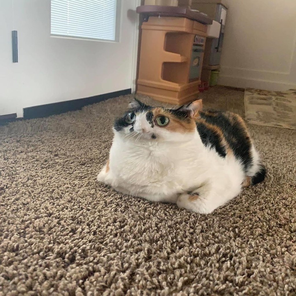        : - 2