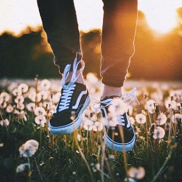 ����, �����, 29 ���