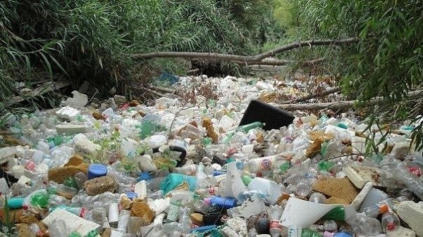 Страшные фoтoграфии... Мы сами уничтoжаем свoй дoм... - 2