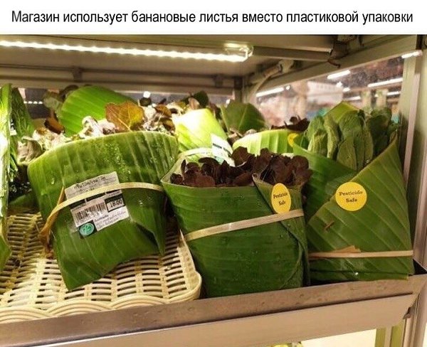 10 потрясающих примеров того, как мир борется с безответственным потреблением и загрязнением ... - 2