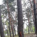  Irishka))),  -  18  2020   ))))