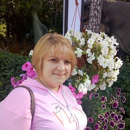 �����, �����������, 51 ���