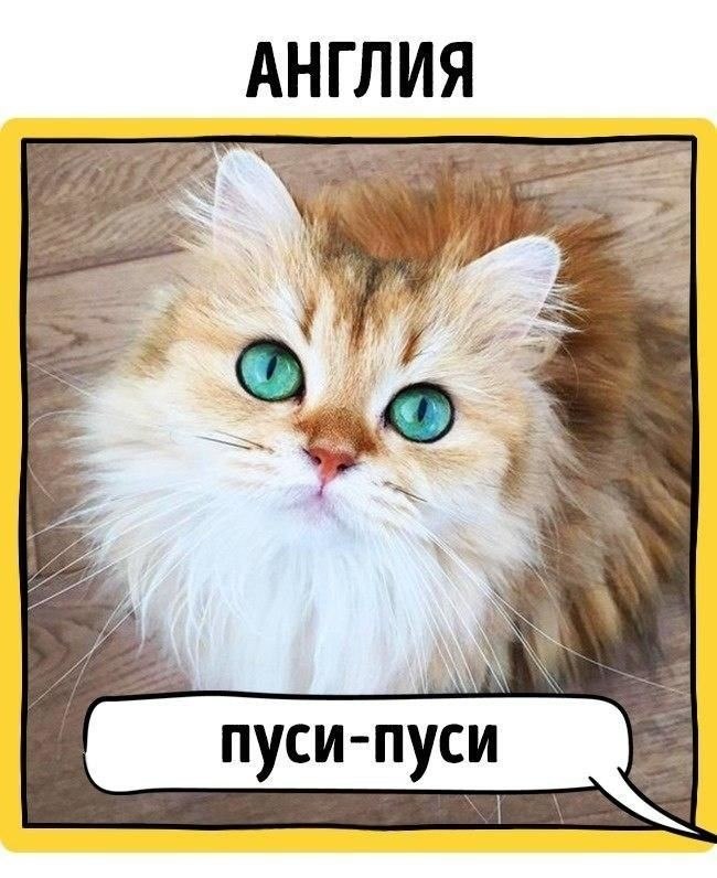  ,         .  - 5