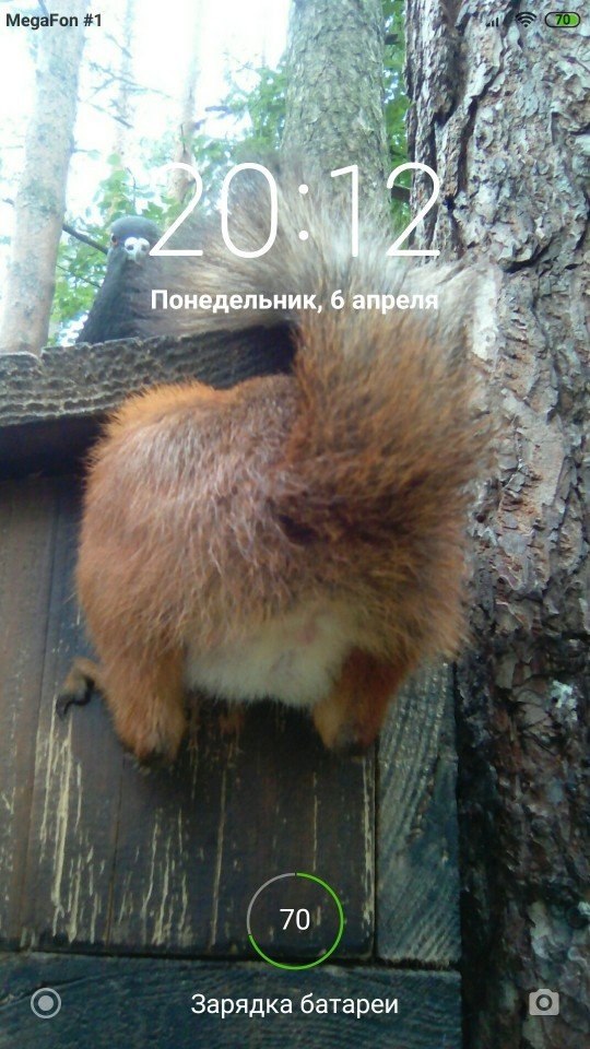     - 2