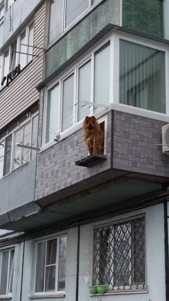     )