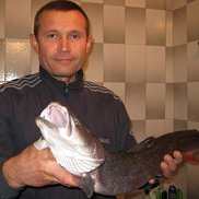 ���� ���������, 64 ����, �������