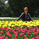 ��������� �����. ��� . �� ������� ���� ����������