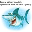 ���� �����, ����-�������, 47 ��� - ��������� 7 ��� 2020 � ������ ������ ��������