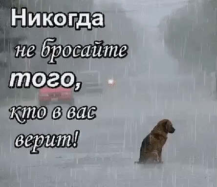   ! - 4  2020  12:39