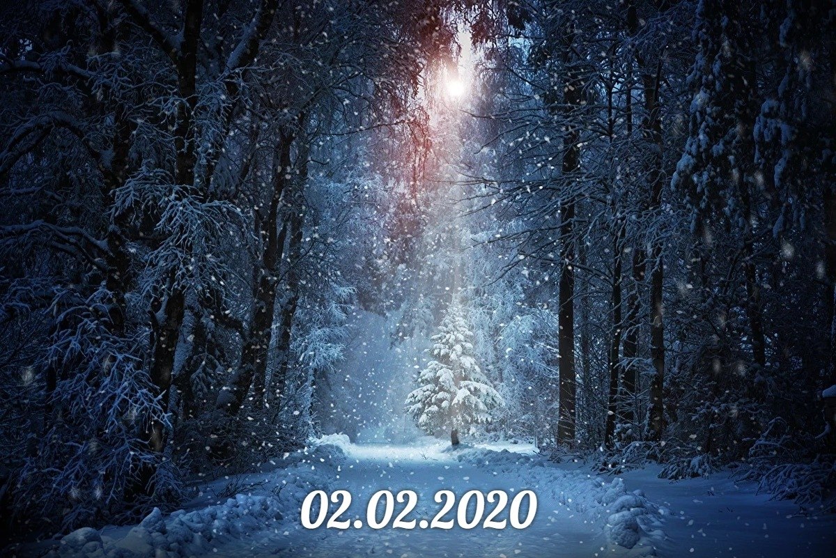 02.02.2020 - сегодня 