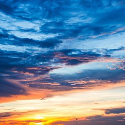 ���� �����, ���������, 44 ���� - ��������� 21 ���� 2020