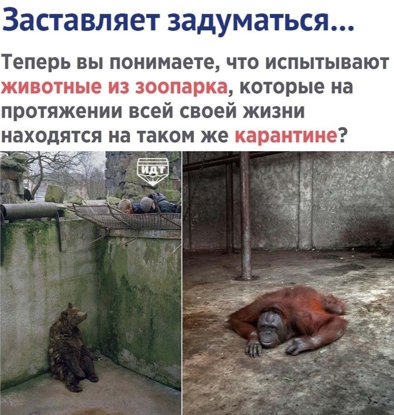 BEST | , ,  - 21  2020  19:04