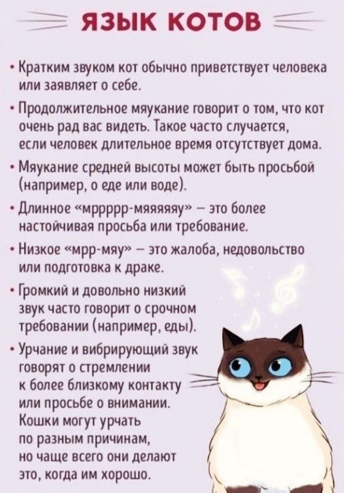    :   -  - 8