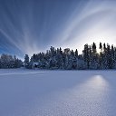 ���� Wolfgrey, �������, 42 ���� - ��������� 25 ������ 2020