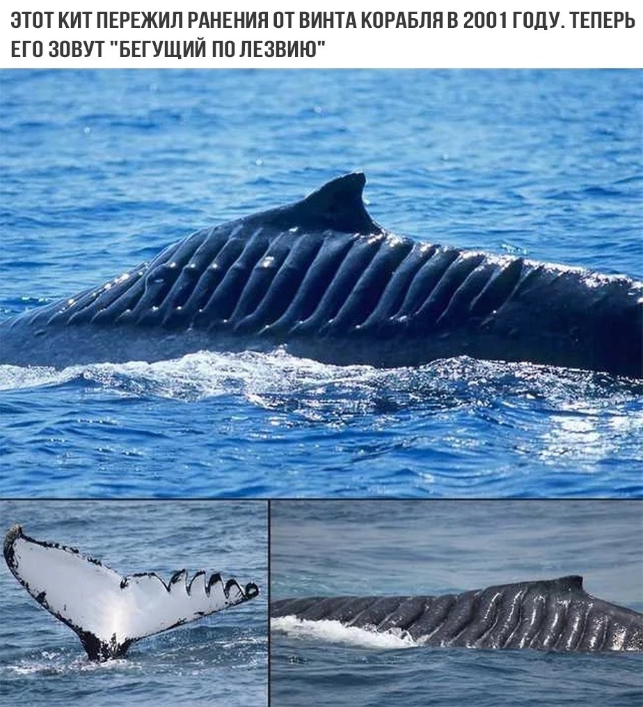 LIFE -  - 8  2020  19:06
