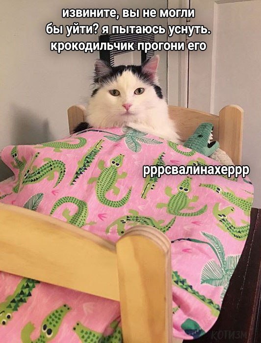  - 12  2020  20:34