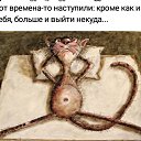 ���� ����, �����-��������� - ��������� 21 ������ 2020 � ������ ������ ��������