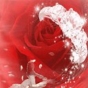 ���� ������, ����� - ��������� 11 ������ 2020 � ������ ���� ����������