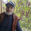 ���� ����, �������, 66 ��� - ��������� 1 ��� 2020 � ������ ���� ����������