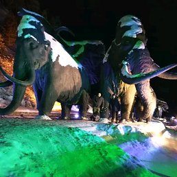 ���������, �����-��������, 54 ����