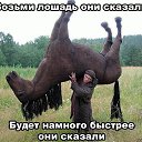 ���� Elena, �������� - ��������� 3 ��� 2020 � ������ ������ ��������