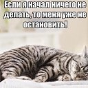 ���� Aleks, ������� - ��������� 24 ����� 2020 � ������ ���� ����������