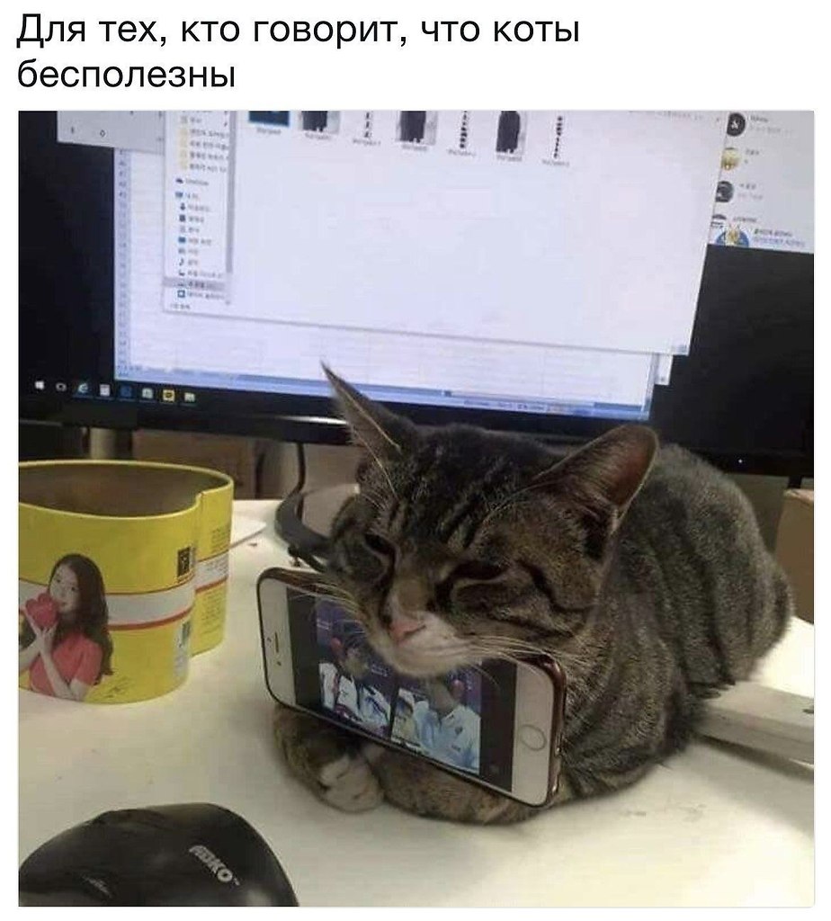   !