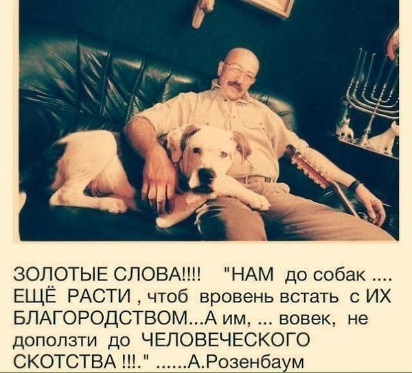 ������� - 14 ����� 2020 � 20:11