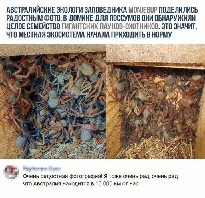 LIFE -  - 8  2020  19:06