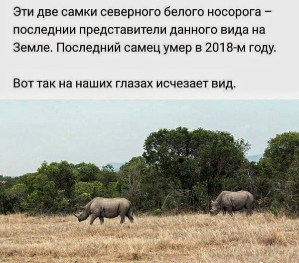 LIFE -  - 8  2020  19:06