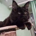 ���� ������, �����, 53 ���� - ��������� 30 ������ 2020 � ������ ���� ����������