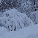 ���� �����, ������, 62 ���� - ��������� 13 ������ 2020 � ������ ������ ��������