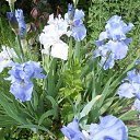  ,  -  19  2020    ))))